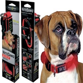 NL NITE DAWG COLLAR MED RED