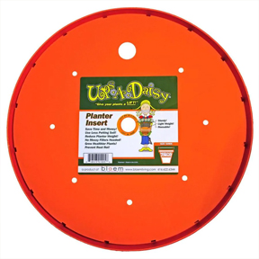 17" X  1 Ups-A-Daisy************