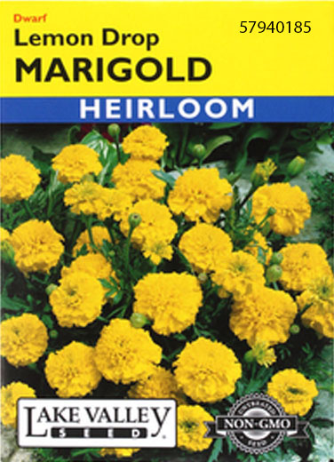 MARIGOLD LEMON DROP