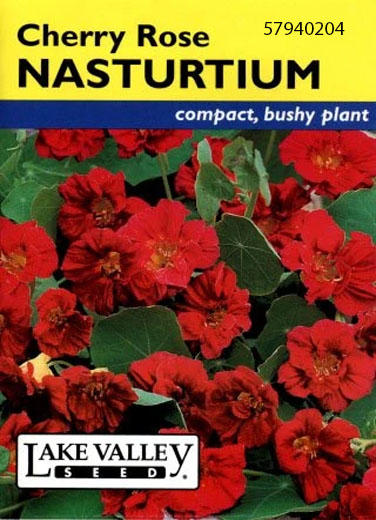 NASTURTIUM CHERRY ROSE