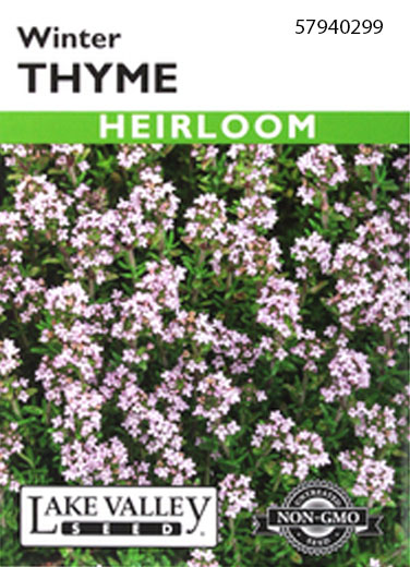 THYME WINTER
