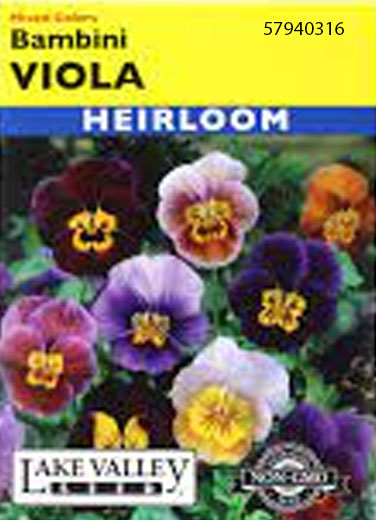 VIOLA BAMBINI MIXED COLORS