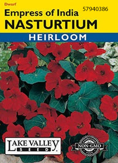 NASTURTIUM EMPRESS OF INDIA