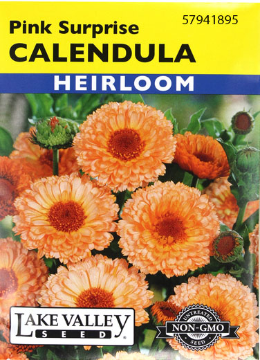 CALENDULA PINK SURPRISE