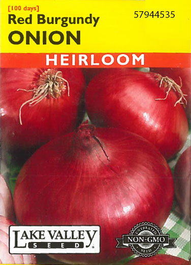 ONION RED BURGANDY