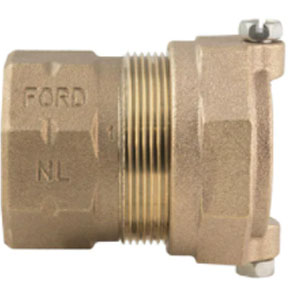 2" FIP X 2"&nbsp;&nbsp;IP PJ COUPLING