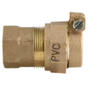 2" FIPSx JOINT BRS COUPLING