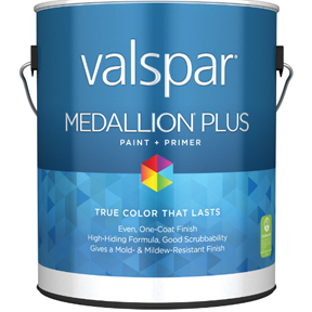 MEDALLION INT FLAT WHTE BS PAINT