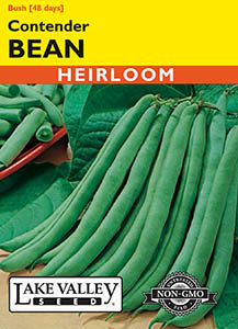 BEAN BUSH CONTENDER HEIRLOOM