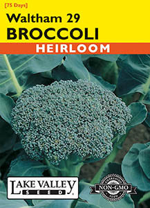 BROCCOLI WALTHAM 29