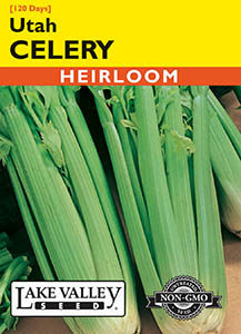 CELERY UTAH