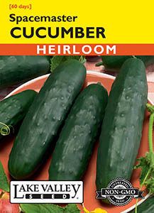 CUCUMBER SPACE MASTER