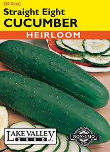 CUCUMBER ST EIGHT ELITE HRLOOM