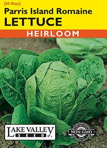 LETTUCE ROMAINE PARRIS ISLAND