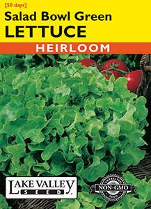 LETTUCE SALAD GREEN