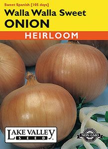 ONION WALLA WALLA
