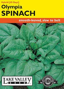 SPINACH OLYMPIA HYBRID