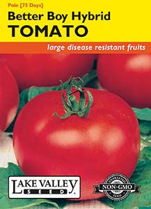 TOMATO POLE BETTER BOY HYBRYD
