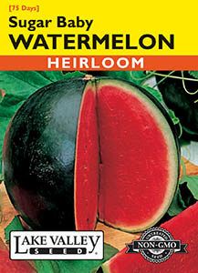WATERMELON SUGAR BABY