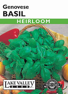 BASIL GENEVESE, HEIRLOOM