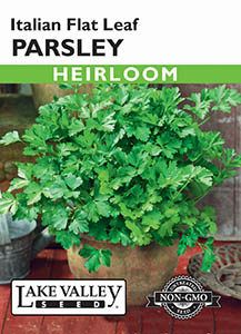 PARSLEY ITALIAN FLAT LF HEIRLOOM