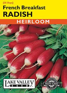 RADISH FRENCH BREAKFAST