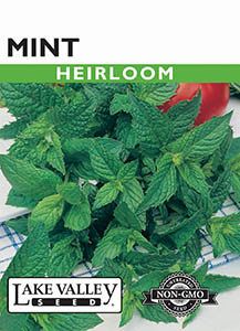 MINT HEIRLOOM