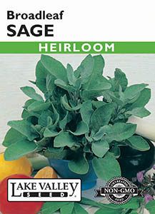 SAGE BROADLEAF