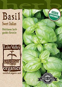 ORGANIC BASIL SWEET ITALIAN