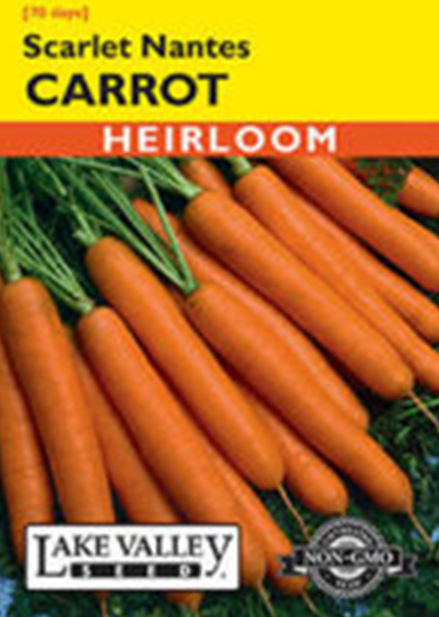 CARROT SCARLET NANTES