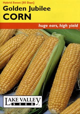 CORN GOLDEN JUBILEE HYBRID