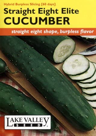 CUCUMBER ST EIGHT ELITE