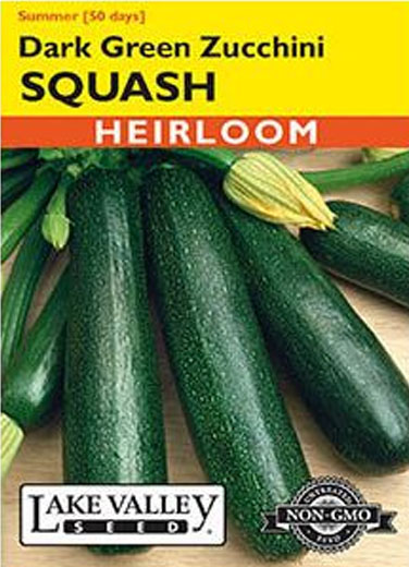 SQUASH SUMMER DK GRN