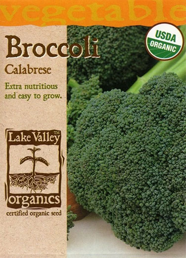 ORGANIC BROCCOLI CALABRESE