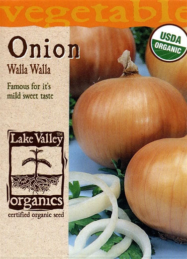 ORGANIC YELLOW ONION