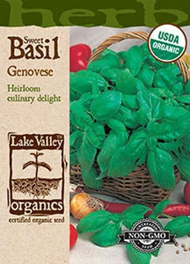 ORGANIC BASIL GENOVESE