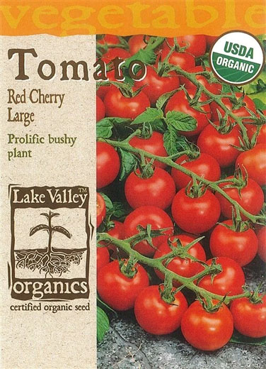 ORGANIC TOMATO (BUSH) CHERRY