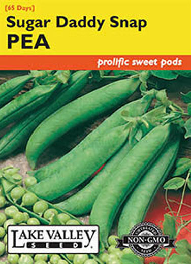 PEA SUGAR DADDY BUSH