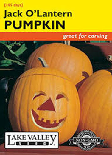 PUMPKIN JACK O' LANTERN