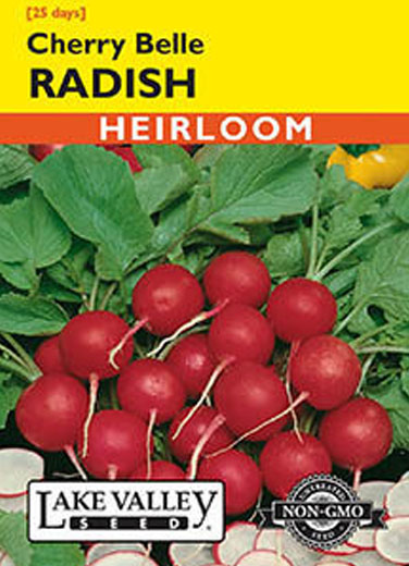 RADISH CHERRY BELLE