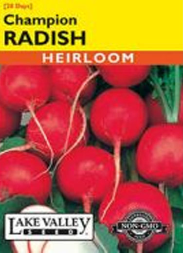 RADISH CHAMPION