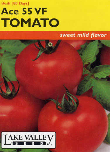 TOMATO BUSH