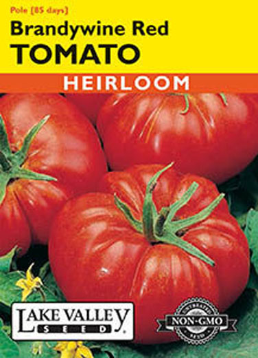 TOMATO POLE BRANDY WINE
