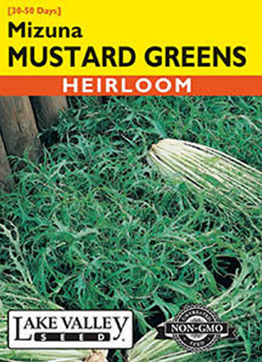MUSTARD GREENS MIZUNA