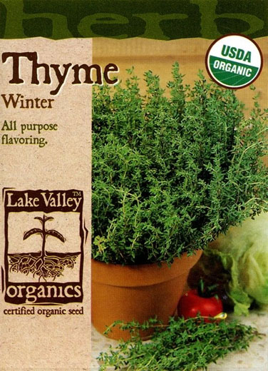 ORGANIC THYME WINTER