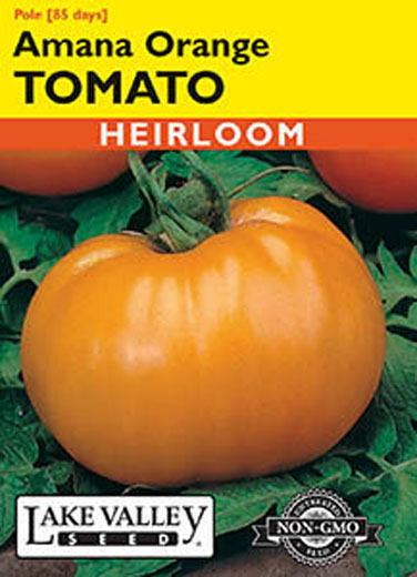 TOMATO POLE AMANA ORANGE