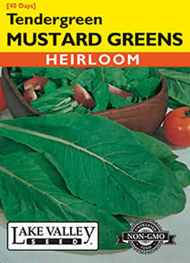MUSTARD GREENS TENDERGREEN
