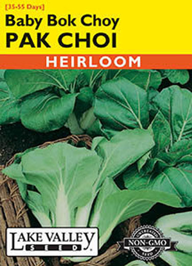 PAK CHOI BABY BOK CHOY
