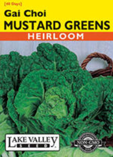 MUSTARD CHINESE