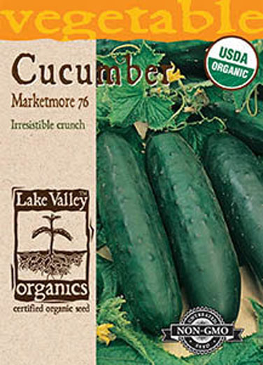ORGANIC VEGE SEED - CUCUMBER